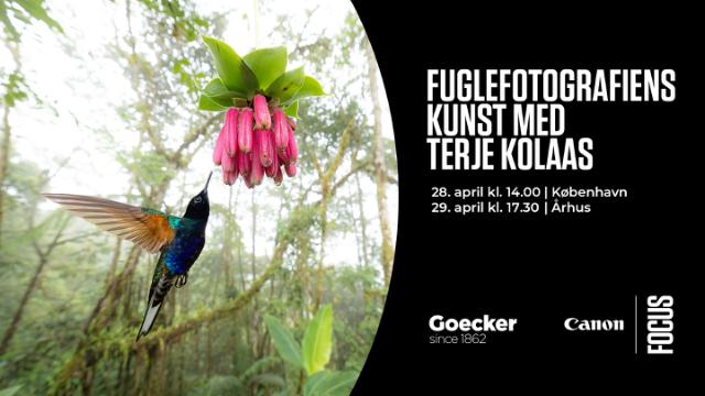 Foredrag med Terje Kolaas