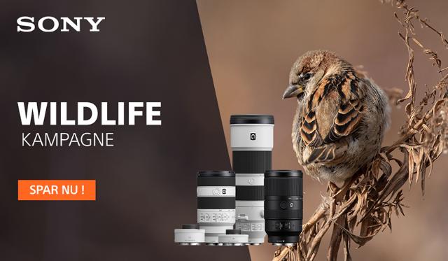 Sony Wildlife kampagne