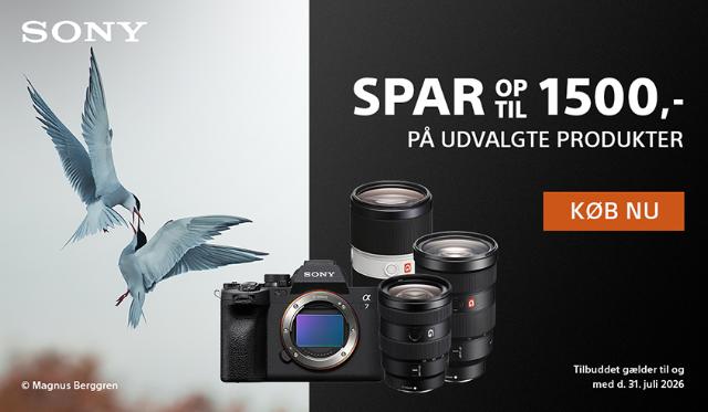 Sony Instant Save