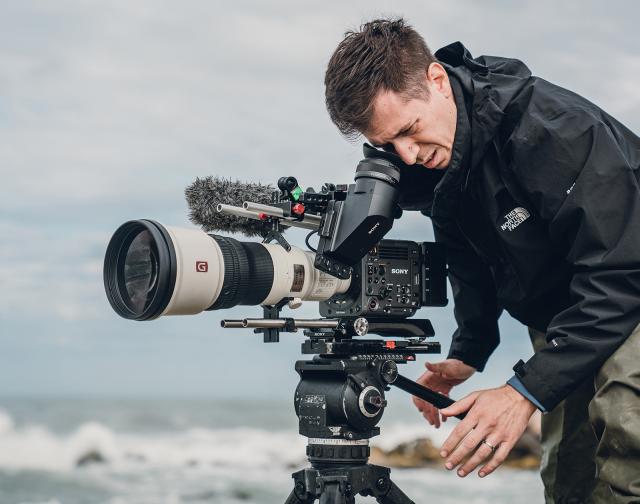 Forhandler af Sony Burano 