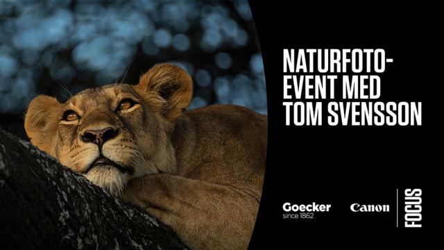 Goecker kontaktformular