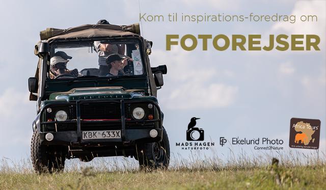 Goecker kontaktformular