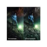 LASLR60SNPGRD22-LANG1-053cef14-a7a9-43a3-a725-a5b1ee4cba13