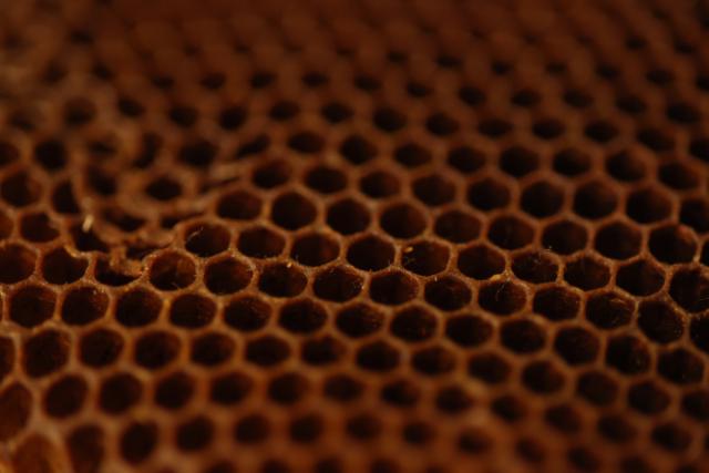 CANON RF 85MM F/2,0 MACRO IS STM