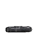 PEN126698-LANG1-06ff7c4e-a99f-4236-9be4-dbf13dbf55dd