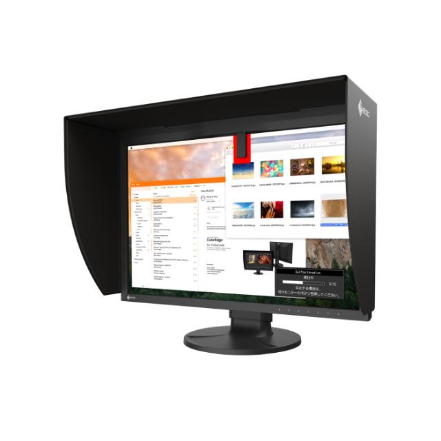 EIZO 24