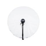 ELI26761-LANG1-0ba4be91-98ff-4850-8904-c473c3a5af34