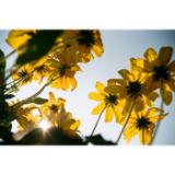 IMP72325-LANG1-0ba549a8-216a-4856-99f7-930b6717a34b