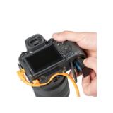 TG-LLP-LANG1-0fa4b941-80ac-4233-b039-7690c3dd7b11