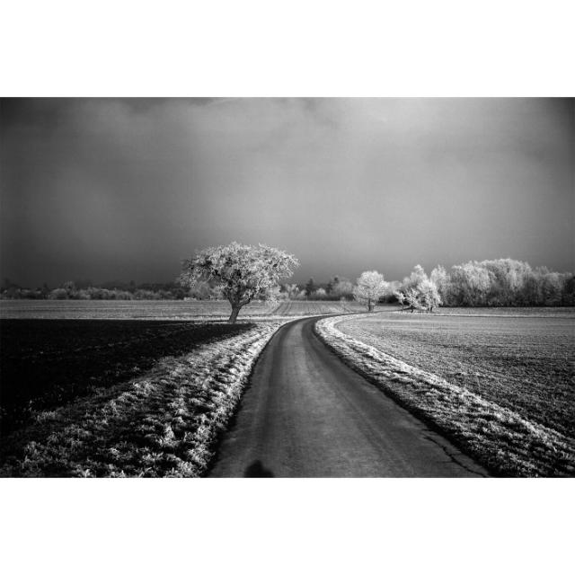 LEICA MONOPAN 50 135-36