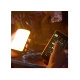 APUTUREMCPRO-LANG1-1298b897-8888-4935-bf9d-be755c88b10b