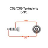 C06-LANG1-15deebb1-2e50-4aee-a45f-5540dbb03911