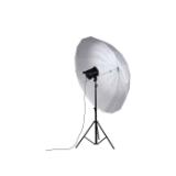 NAN111996-LANG1-1a36c89e-3406-4893-abf3-ca3804b2a087