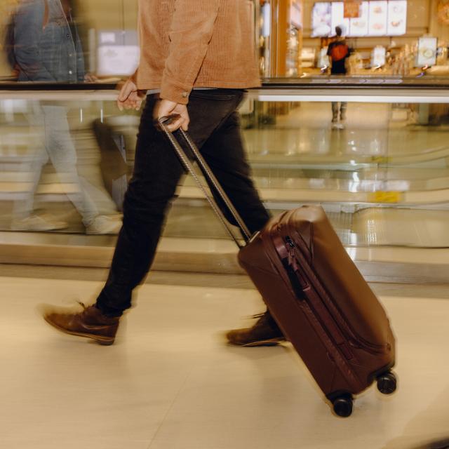 Peak Design Roller Pro Carry-On, Eclipse