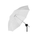 PROF100976-LANG1-1b8fd594-43ef-47fb-8cc0-4c8436ee3b26