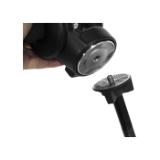 PEAK123259-LANG1-1fc28da1-f422-4728-98ea-2e3a5482e97f