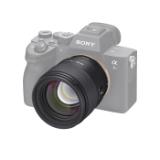 SAM133667-LANG1-228b71e1-919e-453a-8075-c3d233fe05d4