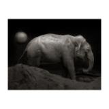 DIVBOG67-LANG1-2305c2e2-7aec-40ae-a2c4-614c733b721c