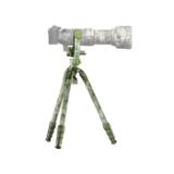 SIR124869-LANG1-278313b4-24a6-4aff-8aef-e2a5115d4b9f