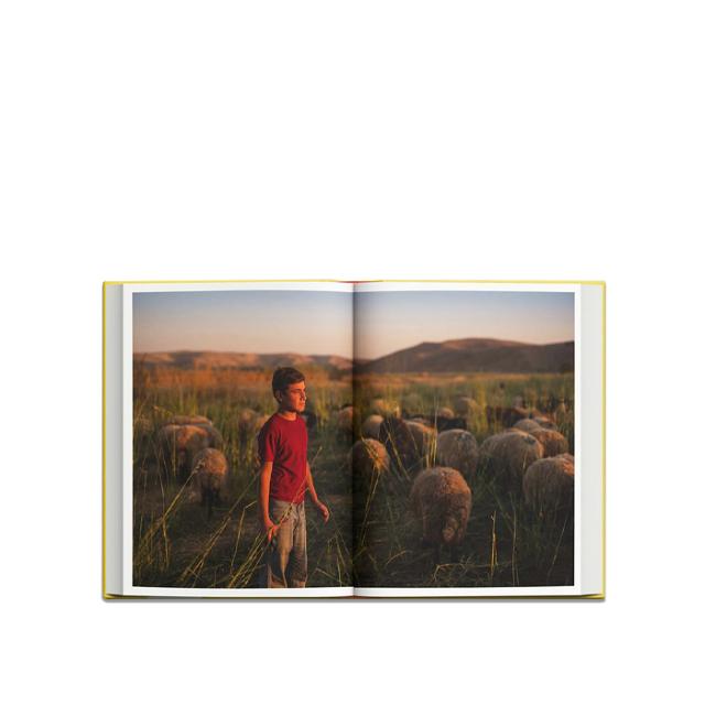 PLUS 2 GRADER - JAKOB DALL