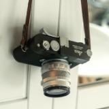 POLAR135729-LANG1-2cfa4655-3296-44fc-afbb-8ca5851d59db