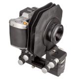 CAM99010883-LANG1-32a5a865-f185-4217-9afa-4fa9ca25260c