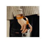 PEAK134526-LANG1-345f5595-57dc-4f4b-ad85-631f5d6da50c