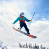 INSTA133579-LANG1-36a9d363-76ec-47d3-b5bd-a2fefad72937