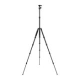 SIR114197-LANG1-370a7c61-2c7e-4e8e-b0be-0fa05d52a921