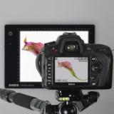 KAI2453-LANG1-391f6154-cc10-491c-8f42-e7709edb8494