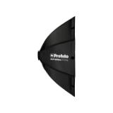 PROF101231-LANG1-39ae14d3-709e-491a-8c20-b718f521fed8