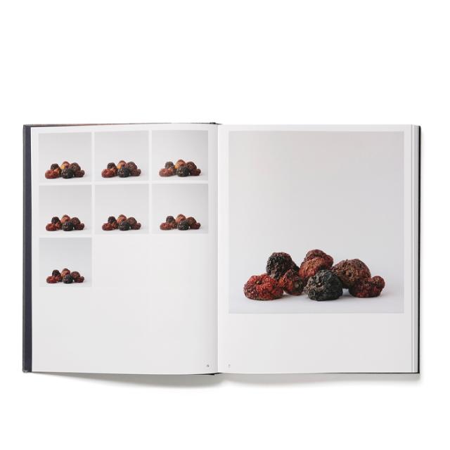 203 WORKS - TRINE SØNDERGAARD