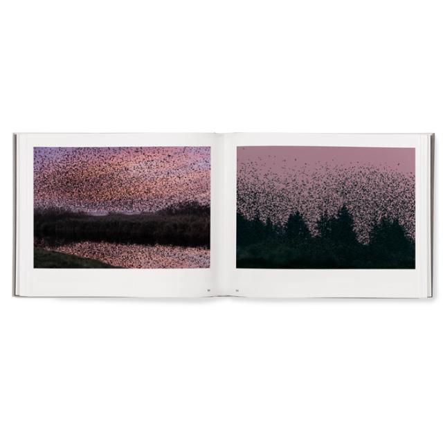 BLACK SUN - SOFT COVER - SØREN SOLKÆR - SIGNERET