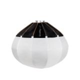 S3754-LANG1-3ba8f2f6-59b6-4481-bd68-dcafc5b9a599