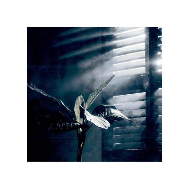 CONDOR SMOKY FOG EFFECT 400 ML