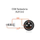 C04-LANG1-3ff9e6b6-dc8b-4253-92ef-9de4ea9e3c10