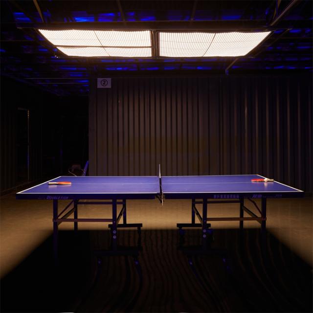 GODOX KNOWLED FLEXIBLE LED LIGHT F600BI