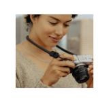 PEAK134515-LANG1-462fcf97-e27c-4307-93bc-16baceaf7749