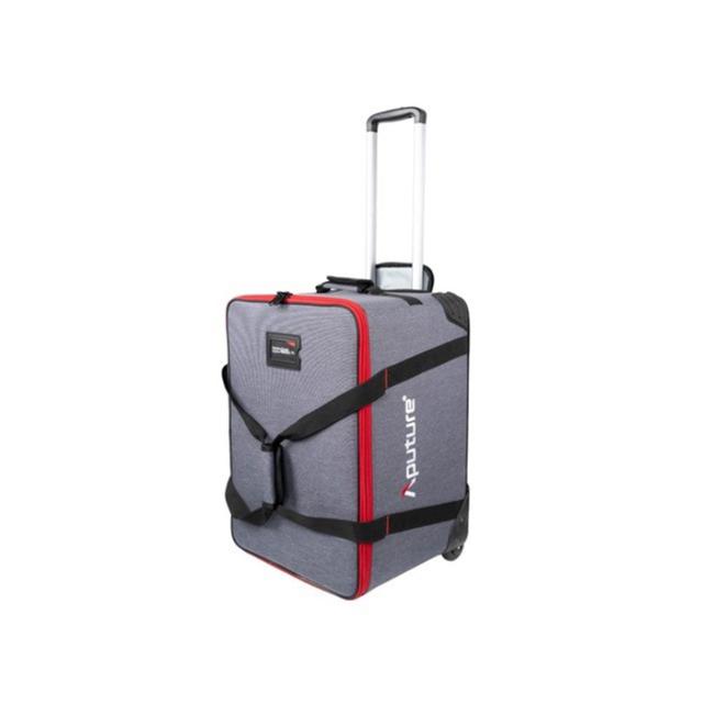 APUTURE LIGHTSTORM LS 600D PRO LED