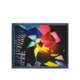 POL113926-LANG1-47a3a4eb-2f0e-4776-bb23-8e46a7d90abc