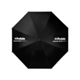 PROF100971-LANG1-4c1b1d94-f362-456c-930f-66507d0808a0