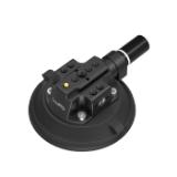 S4122-LANG1-4e7a9e93-dd28-4b59-9d9c-46a053ec03ec