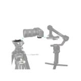 S4234-LANG1-5063d483-2557-4eda-a819-c9ba9fc26937