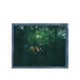 POL113926-LANG1-51cb250d-b491-4524-8d6a-d8c9a12bffcd