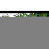 LAOWA131788-LANG1-53d944dd-72a7-4296-bafe-c04ad6ebc38a