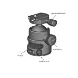 CAM99121446-LANG1-58935db6-a3e0-489c-aad0-014c478cee87