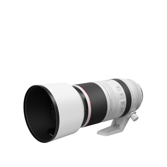 CANON RF 100-500MM F/4,5-7,1 L IS USM