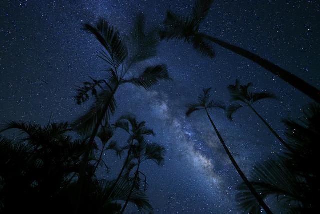 CANON RF 16MM F/2,8 STM