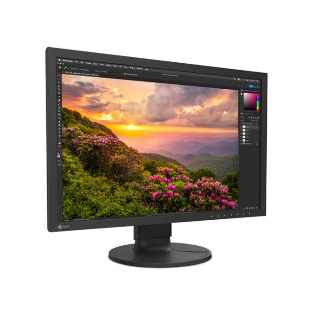 EIZO 24