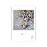 HAH10641610-LANG1-61e80bb2-5807-48f7-89b5-aaf597931f2f